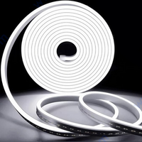 Flexible Neon LED лента 4500К, 12V, 5 m