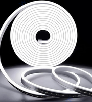 Flexible Neon LED лента 4500К, 12V, 5 m